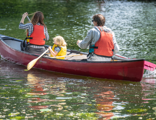 Canoeing on the River Waveney